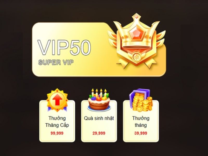 Ưu đãi Hội viên VIP - Săn thưởng cực hấp dẫn từ KUWIN