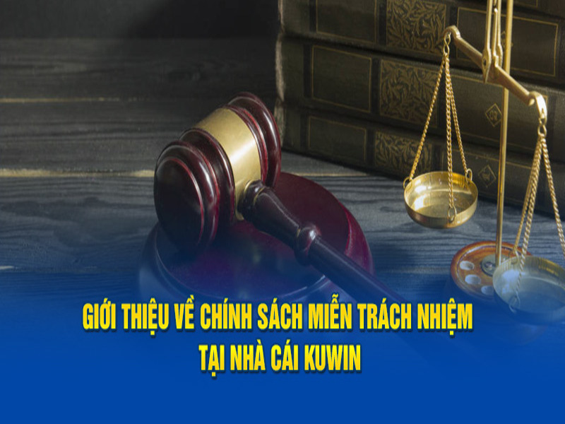 Miễn trách nhiệm chính sách bảo vệ quyền lợi đôi bên 